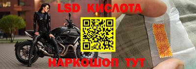 индика Камышлов