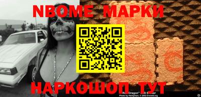 индика Камышлов