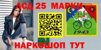 индика Камышлов