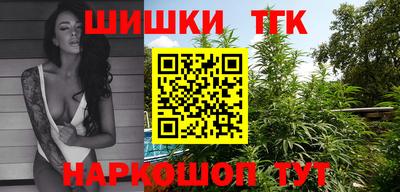 индика Камышлов