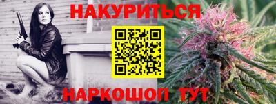 индика Камышлов