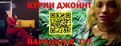 индика Камышлов