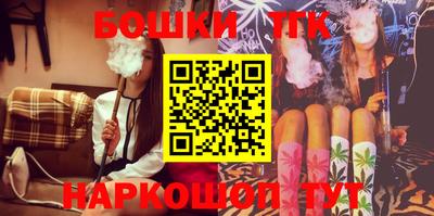 индика Камышлов