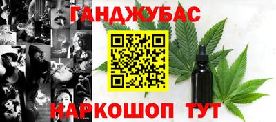 индика Камышлов