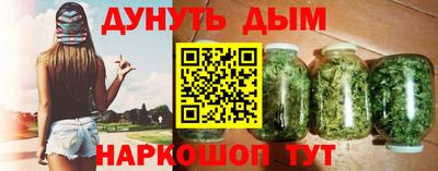 индика Камышлов