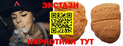 индика Камышлов