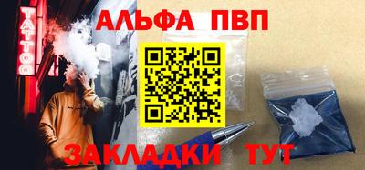 индика Камышлов