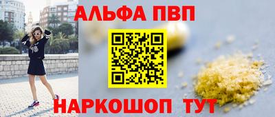 индика Камышлов