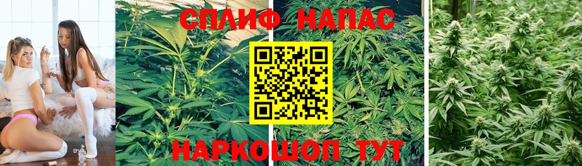 Марихуана планчик  Бошки Шишки тримм  Комсомольск-на-Амуре  Вход с VPN  Каннабис план 